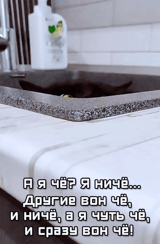 Анимированная открытка А я чё? Я ничё... Другие вон чё, и ничё, а я чуть чё, и сразу вон чё!