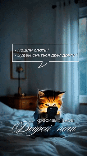 Анимированная открытка - Пошли спать! - Будем сниться друг другу! Красивых снов. Доброй ночи.