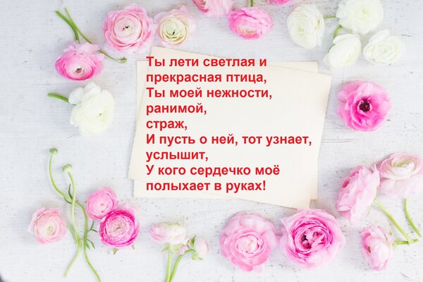 Открытка Ты лети светлая и прекрасная птица, Ты моей нежности, ранимой, страж, И пусть о ней, тот узнает, усл