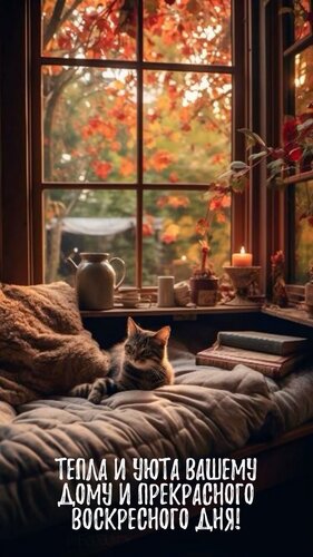 Открытка Тепла и уюта вашему дому и прекрасного воскресного дня!