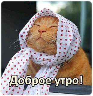 dobroe-utro.jpg?z=294