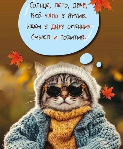 Открытка Солнце, лето, дача, все ушло в архив...
