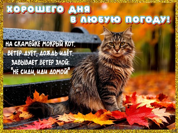 Открытка Хорошего дня