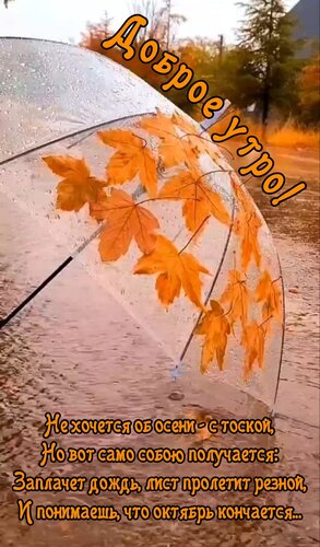 Открытка Не хочется об осени- с тоской, но вот само собою получается. Заплачет дождь, лист пролетит резной...