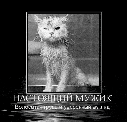Анимированная открытка Настоящий мужик. Волосатая грудь и уверенный взгляд.