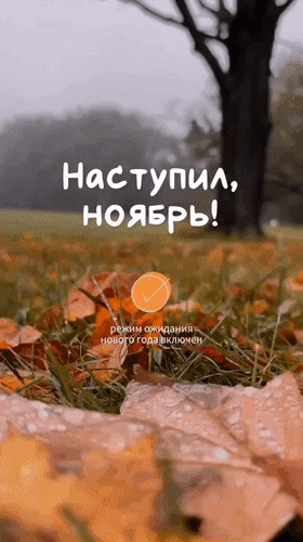 Анимированная открытка Наступил ноябрь! Режим ожидания нового года включен.