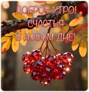 dobroe-utro.jpg?z=335