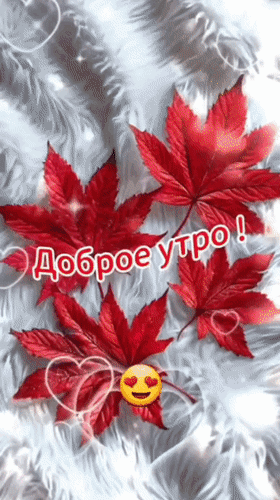 Анимированная открытка Доброе утро! Хорошего дня! Я желаю вам с утра счастья, мира и добра! Крепкого здоровья и удачи.