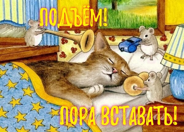 Открытка Подъëм! Пора вставать!