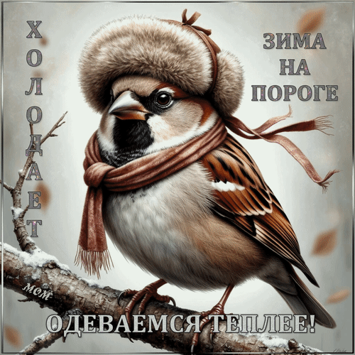 Анимированная открытка Холодает. Зима на пороге. Одеваемся теплее!