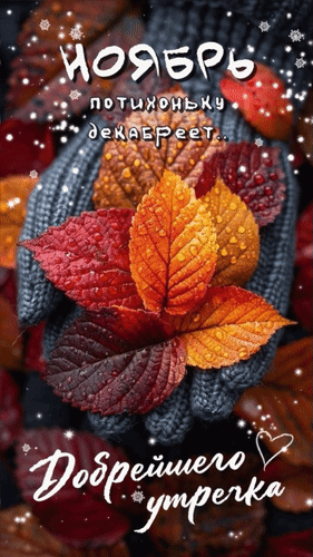 Анимированная открытка Добрейшего утречка! Ноябрь потихоньку декабреет...