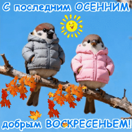 Анимированная открытка С воскресеньем!