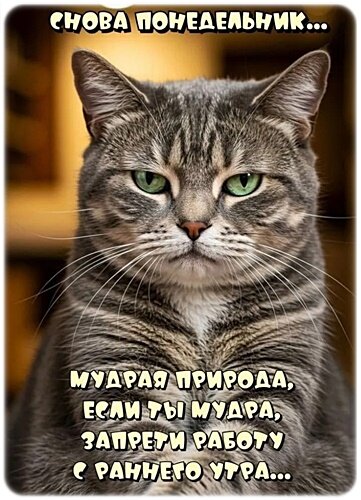 Открытка Легкого понедельника!