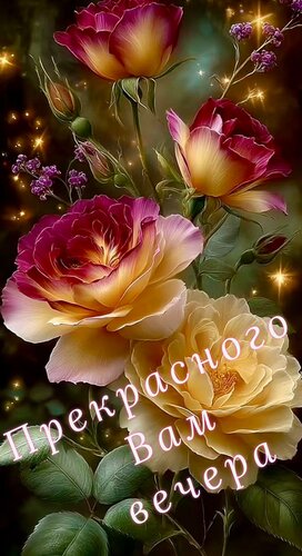 Открытка Прекрасного вам вечера!