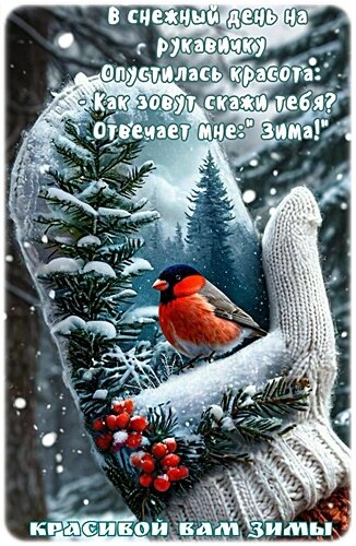 Открытка Красивой зимы!