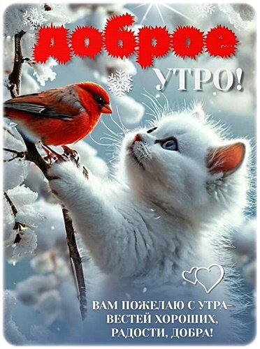 Открытка Доброе утро!