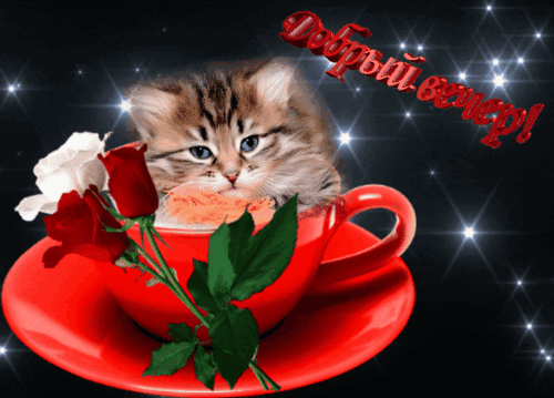 Анимированная открытка Добрый вечер!