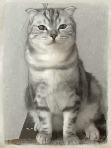 Анимированная открытка Улыбнись! Тебе очень идёт! Хорошего дня!