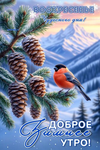 Открытка Доброе зимнее утро! Воскресенье. Чудесного дня!