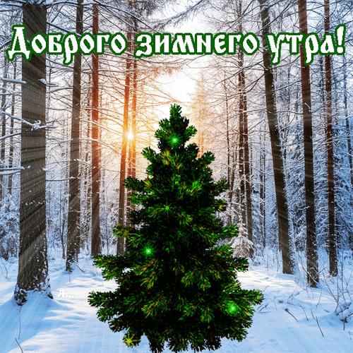 Анимированная открытка Доброго зимнего утра!