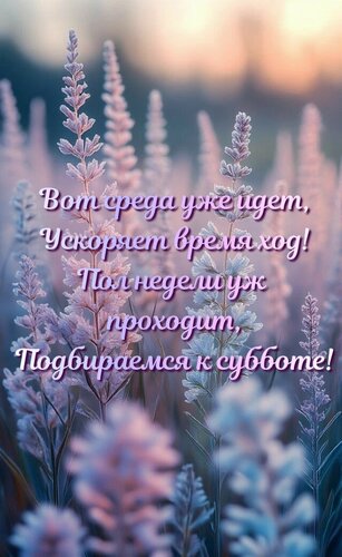 Открытка Вот среда уже идёт, ускоряет время ход! Полнедели уж проходит, подбираемся к субботе.