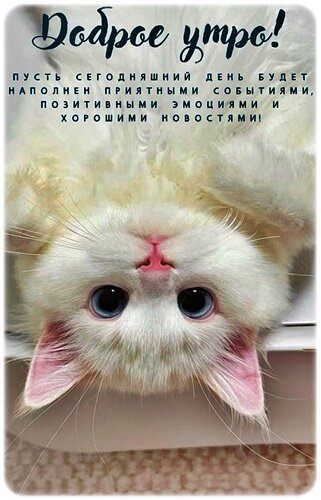 Открытка Доброе утро!