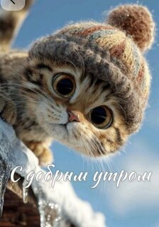 s-dobrym-utrom.jpg?z=61