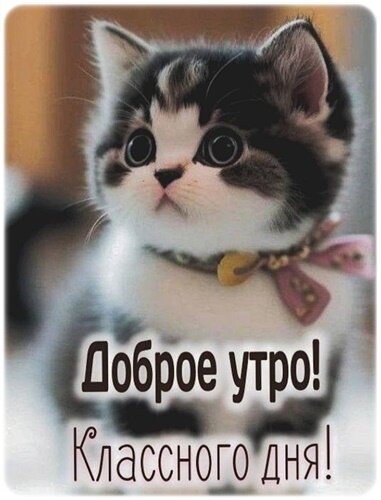 Открытка Доброе утро!