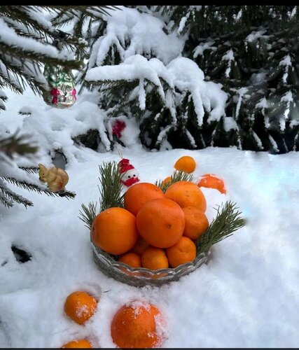 Открытка С добрым декабрьским утром!