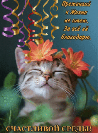 Анимированная открытка Счастливой среды!