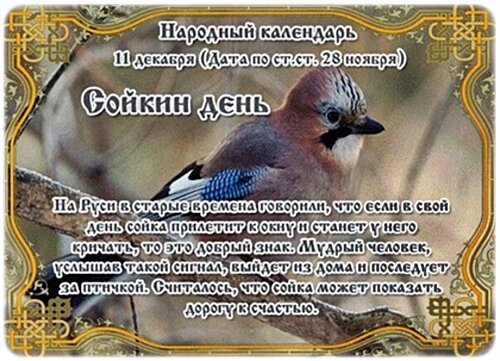 Открытка Сойкин день.