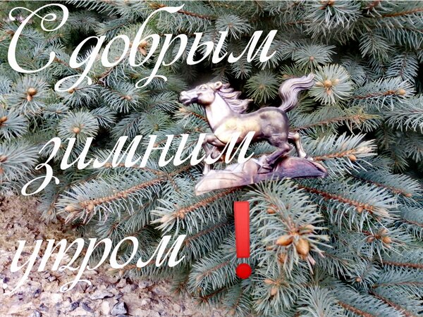 Открытка С добрым зимним утром!