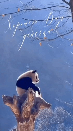 Анимированная открытка Хорошего вам денёчка!