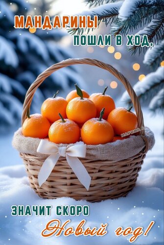 Открытка Мандарины пошли в ход, значит скоро Новый год!