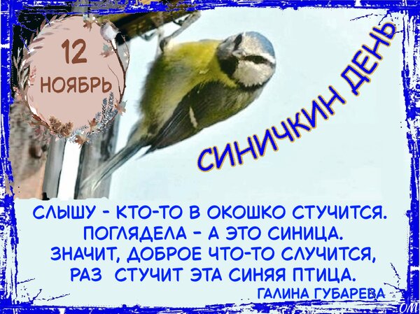 Открытка Синичкин день
