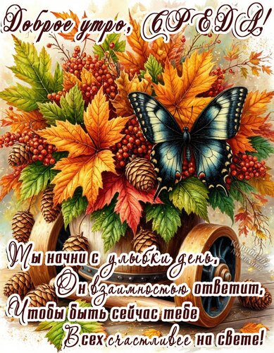 Открытка Среда