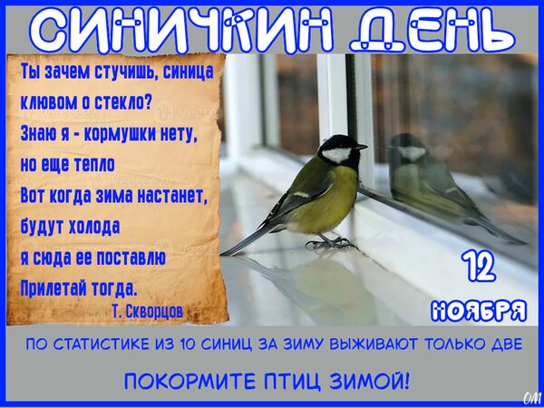Открытка Синичкин день