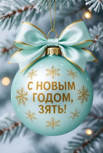 Открытка С Новым годом, зять!
