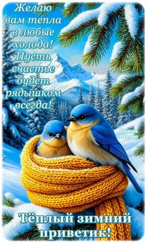 Открытка Теплый зимний приветик!