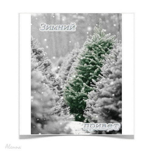 Анимированная открытка Зимний привет