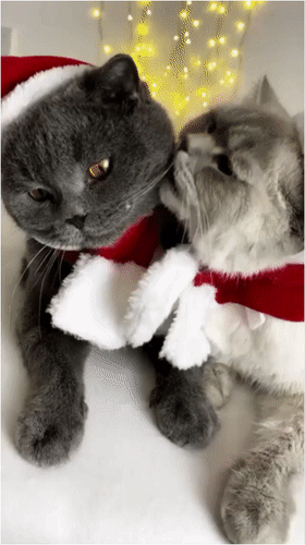 Анимированная открытка Нет текста