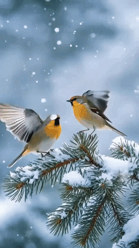 Анимированная открытка Доброе утро! Сегодня будет лучший день. И завтра... И всегда!..