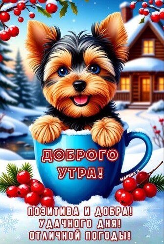 Открытка Доброго утра! Позитива и добра! Удачного дня! Отличной погоды!