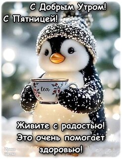 s-dobrym-utrom-s-pyatnicej.jpg?z=43