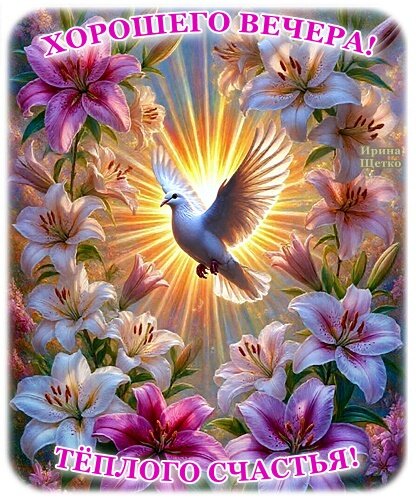 Открытка Добрый вечер!