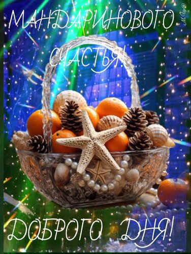 Открытка Мандартновогт счастья! Доброго дня!