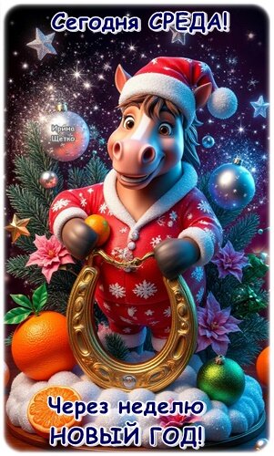 Открытка Сегодня среда!