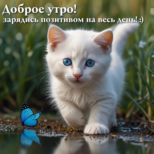 Открытка Доброе утро