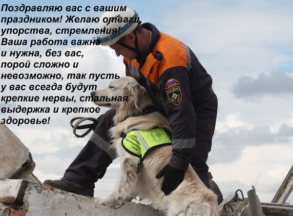 Открытка Поздравляю вас с вашим праздником! Желаю отваги, упорства, стремления! Ваша работа важна и нужна...