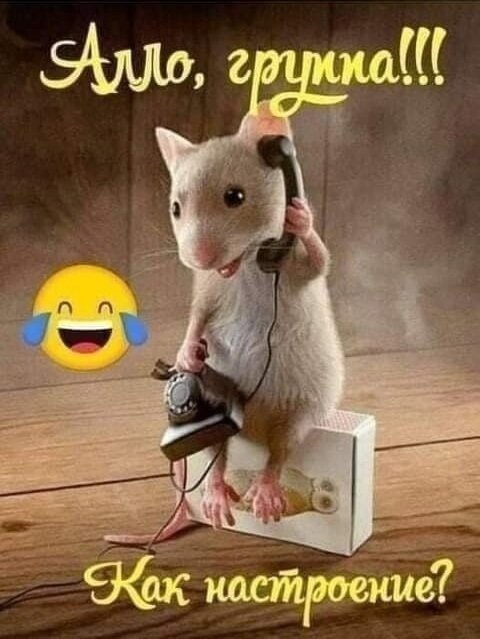 Открытка Алло, группа! Как настроение?